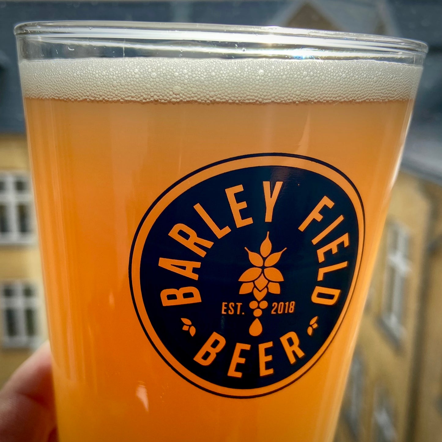 12 STK. HAZY PALE ALE - 44 cl. - GRATIS FRAGT - PÅ LAGER IGEN 28.9.2023!